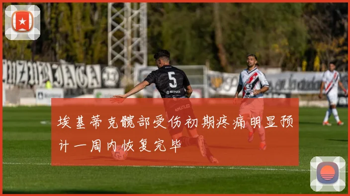 埃基蒂克髋部受伤初期疼痛明显预计一周内恢复完毕
